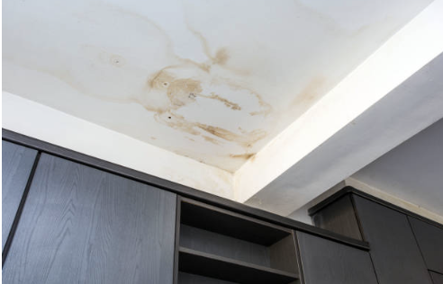 Dakgoot schoonmaken